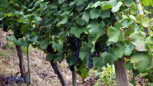 2015 09 12 musikreise