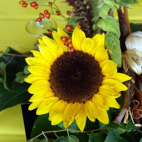 2015 09 12 musikreise