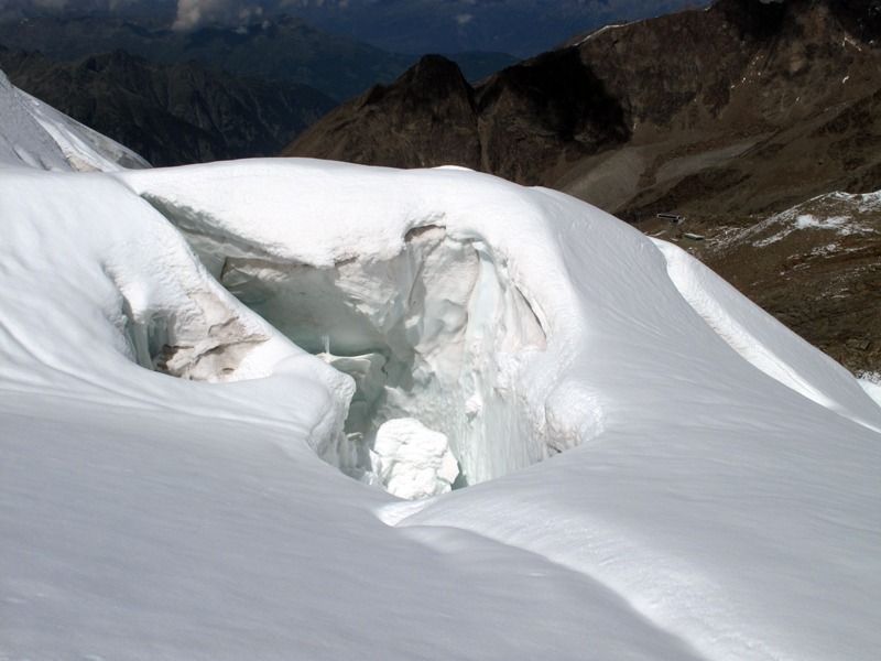 027 weissmies
